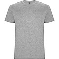 Stafford short sleeve kids t-shirt