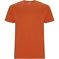 Stafford short sleeve kids t-shirt