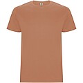 Stafford short sleeve kids t-shirt