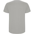 Stafford short sleeve kids t-shirt
