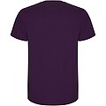 Stafford short sleeve kids t-shirt
