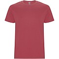 Stafford short sleeve kids t-shirt