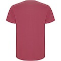 Stafford short sleeve kids t-shirt