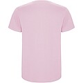 Stafford short sleeve kids t-shirt