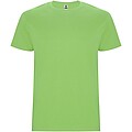 Stafford short sleeve kids t-shirt