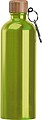 Stainless steel drinking bottle with carabiner, 750ml, light green