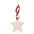 Star shaped hanger