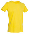 Stedman Ben Crew Neck, daisy yellowlow, L