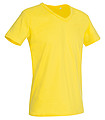 Stedman Ben V-Neck, daisy yellowlow, S
