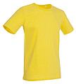 Stedman Morgan Crew Neck, daisy yellowlow, L