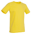 Stedman Morgan Crew Neck, daisy yellowlow, S