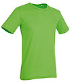 Stedman Morgan Crew Neck, green flash, L