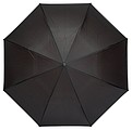 Stickumbrella