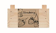 Strawberry kit in wooden crate