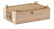 Strawberry kit in wooden crate