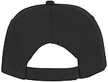 Styx 5 panel sandwich cap