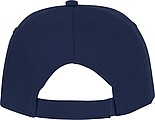 Styx 5 panel sandwich cap