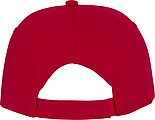 Styx 5 panel sandwich cap