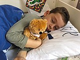 Teddy bear (medium)