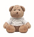 Teddy bear plush