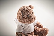 Teddy bear plush