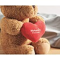 Teddy bear with heart 23cm, red