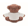 Teddy bear with t-shirt, white