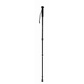 Telescopic walking pole, black