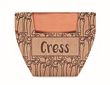 Terracotta pot cress seeds