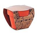 Terracotta pot forget me not