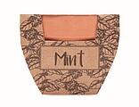 Terracotta pot mint seeds