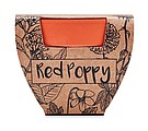 Terracotta pot poppy