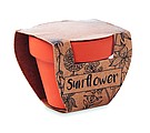 Terracotta pot sunflower