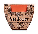 Terracotta pot sunflower