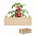 Tomato kit in wooden crate