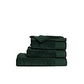 Towel 