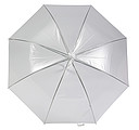 Transparent umbrella.White