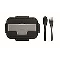 Two-tier PP lunch box
