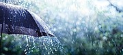 Umbrella, with pushbutton, dark blue