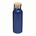 Vacuum bottle 