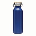 Vacuum bottle 
