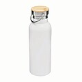 Vacuum bottle 