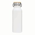 Vacuum bottle 