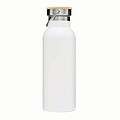 Vacuum bottle 