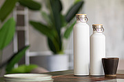 vacuum flask