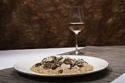 VANILLA SEASON MORETON 6 Set of six white wine glasses, 250 ml