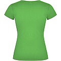 Victoria short sleeve womens v-neck t-shirt