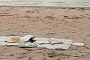 VINGA Alba GRS RPET picnic blanket