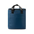 VINGA Baltimore trail cooler backpack