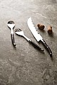 VINGA Gigaro serving cutlery